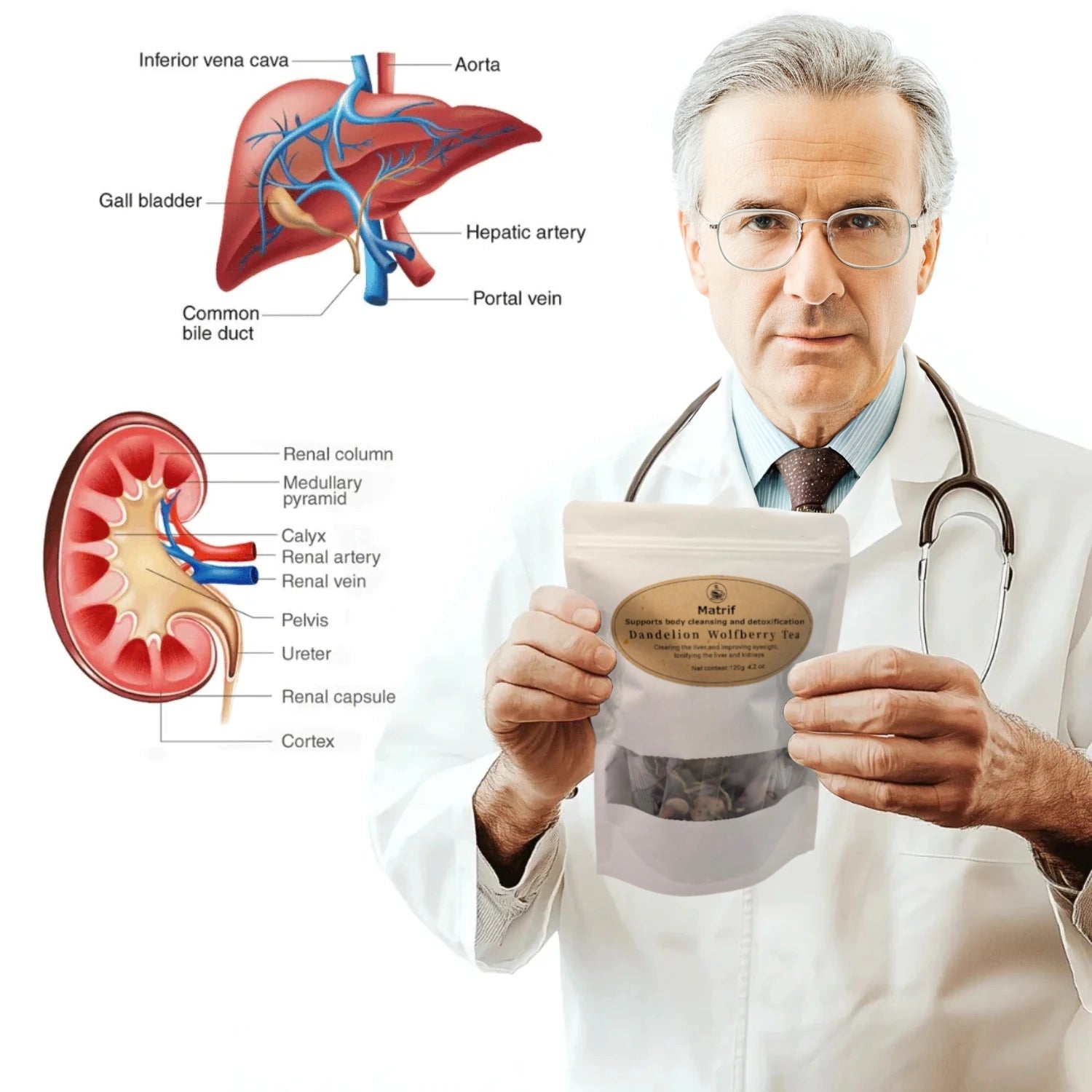 A doctor holding a package of Dandelion Wolfberry Tea, with medical illustrations of the liver in the background.